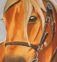 Horse Painting